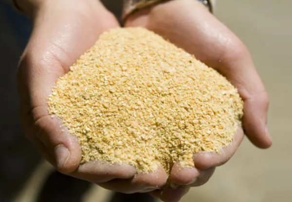 Soybean Meal