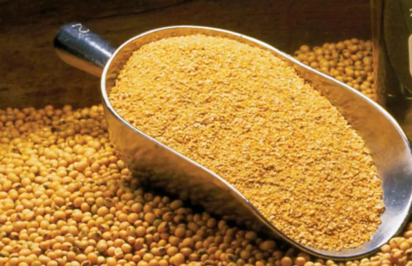 Soybean Meal