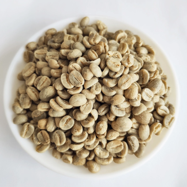 ARABICA GREEN COFFEE BEANS