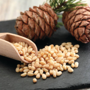 Premium Pine Nuts