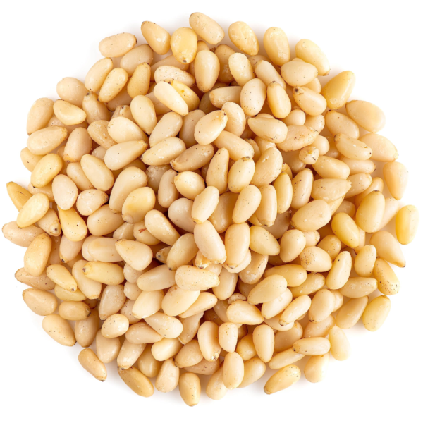Premium Pine Nuts – Wholesale & Export Deals!