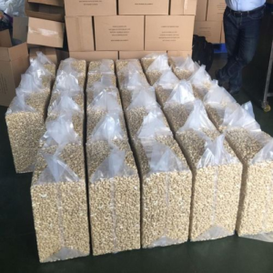 Cashew Nuts wholesale