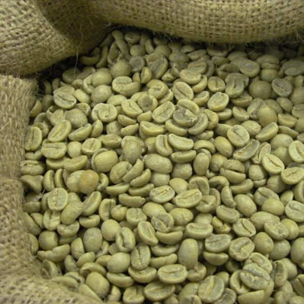Premium AA Grade Robusta Coffee Beans