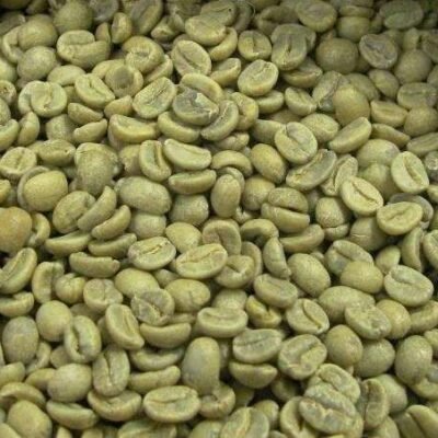 Robusta Coffee