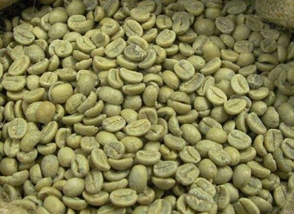 Premium AA Grade Robusta Coffee Beans
