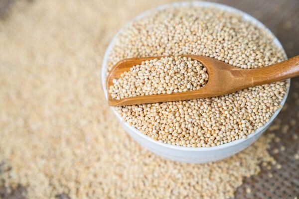 Millet – A Nutritious and Versatile Supergrain 🌾