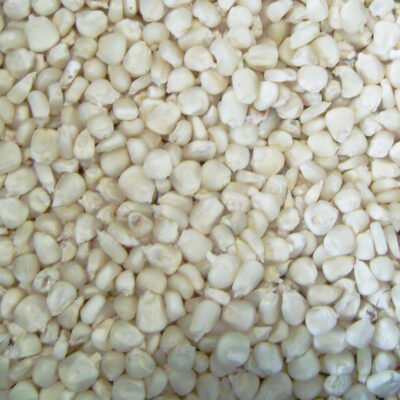 White Maize – Premium Quality Grain