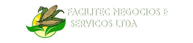 FACILITEC NEGOCIOS E SERVICOS LTDA